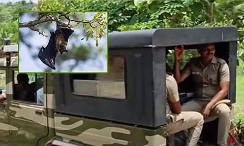 வவ்வால்களை வேட்டையாடி சில்லி சிக்கன் என கூறி விற்பனை - 2 பேரை கைது செய்த வனத்துறை