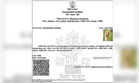 பீகாரில் நாய்க்கு இருப்பிட சான்றிதழ்... வைரலான பதிவால் கடும் சர்ச்சை