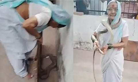 பாம்பை பிடித்து கழுத்தில் மாலைபோல் அணிந்துகொண்டு விளையாடிய 70 வயது சினேக் பாட்டி