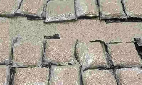 ஐதராபாத் விமான நிலையத்தில் ரூ.40 கோடி கஞ்சாவுடன் பெண் கைது