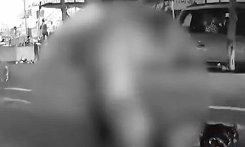 நெல்லை கவின் கொலை செய்யப்பட்ட வீடியோ வெளியானதா? தமிழக அரசு விளக்கம்