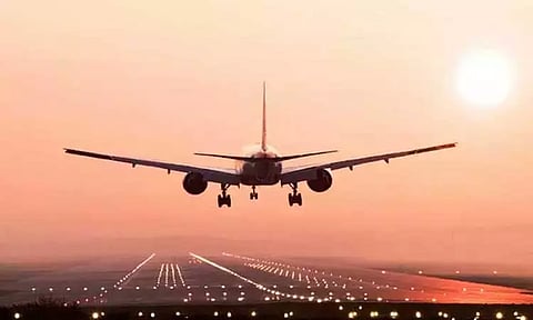 நைஜீரியாவில் இருந்து விமானத்தில் கடத்த முயன்ற 1,600 பறவைகள் பறிமுதல்