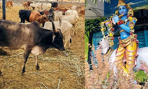 திருப்பதி எஸ்.வி. கோசாலையில் 16-ந்தேதி கோகுலாஷ்டமி விழா