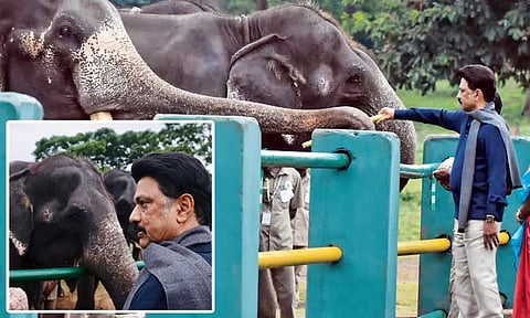 யானைகள் பாதுகாப்பாகவும் சுதந்திரமாகவும் திகழ உறுதியேற்போம்: மு.க.ஸ்டாலின்