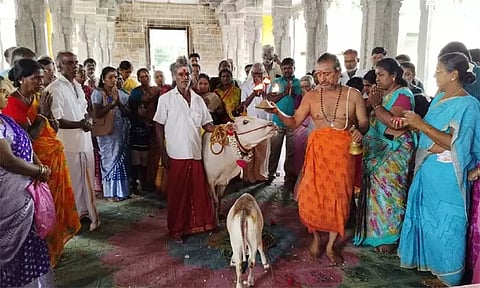 ஆவணி மாத பிறப்பு... சீர்காழி சட்டைநாதர் கோவிலில் சிறப்பு கோ பூஜை