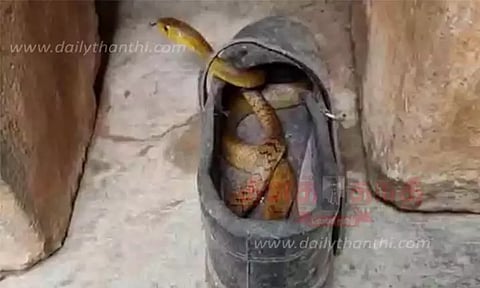 கோப்புப்படம் 