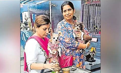 நாய் குட்டியை காப்பாற்ற கோவிலில் சனிதோஷ வழிபாடு நடத்திய சகோதரிகள்... நெகிழ்ச்சி சம்பவம்