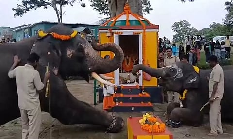 சதுர்த்தி விழா: நீலகிரி தெப்பக்காடு முகாமில் விநாயகரை வழிபட்ட யானைகள்