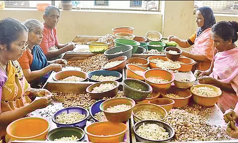 அமெரிக்கா 50 சதவீத வரி: ரூ.1,000 கோடி அளவுக்கு முந்திரி பருப்பு ஏற்றுமதி பாதிப்பு