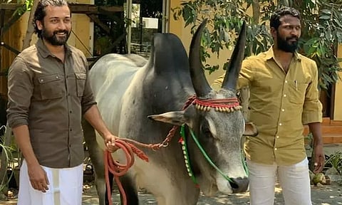 “வாடிவாசல்” படம் குறித்து அப்டேட் கொடுத்த வெற்றிமாறன்