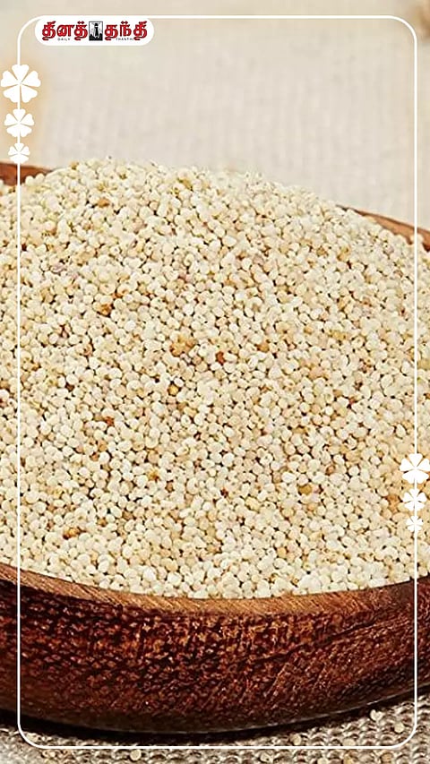 கசகசா விதை :பார்க்க சிறிது..ஆனால் பலன் அதிகம்..!