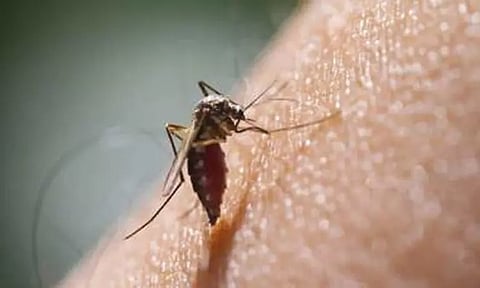 கோப்புப்படம்