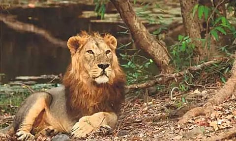 கோப்புப்படம் 