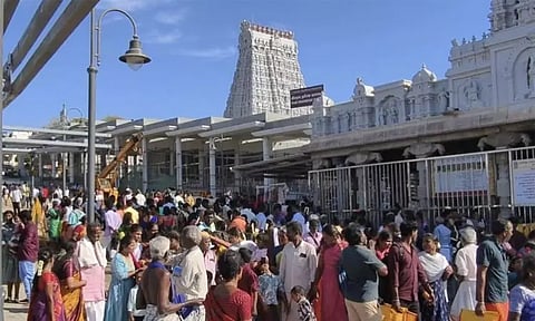 விடுமுறை தினம்: திருச்செந்தூர் முருகன் கோவிலில் திரளான பக்தர்கள் சாமி தரிசனம்