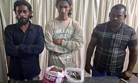 நாகர்கோவிலில் 1.5 கிலோ கஞ்சா வைத்திருந்த 3 பேர் கைது: கார், பைக் பறிமுதல்