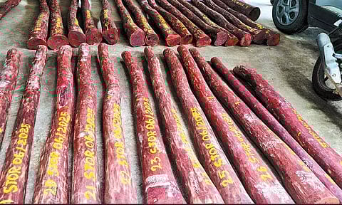 திருப்பத்தூரில் இருந்து பெங்களூருவுக்கு செம்மரக்கட்டைகள் கடத்த முயற்சி - இரவில் நடந்த பரபரப்பு சம்பவம்