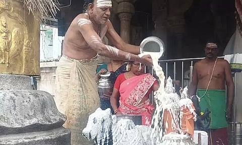 திருவலம் வில்வநாதீஸ்வரர் கோவிலில் நந்தி பகவானுக்கு பால் அபிஷேகம்