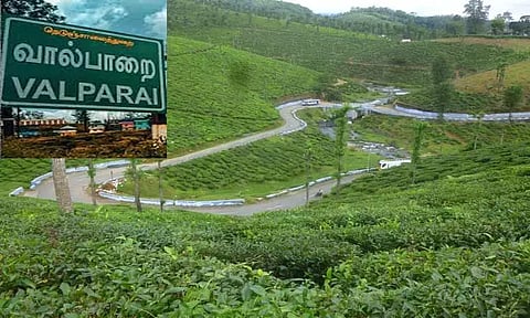 ஊட்டி, கொடைக்கானலை தொடர்ந்து வால்பாறையில் வரும் புதிய நடைமுறை