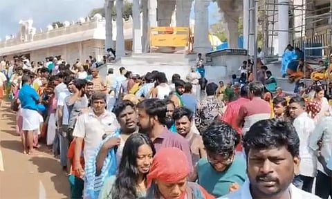 விடுமுறை தினம்... திருச்செந்தூர் முருகன் கோவிலில் திரளான பக்தர்கள் சாமி தரிசனம்