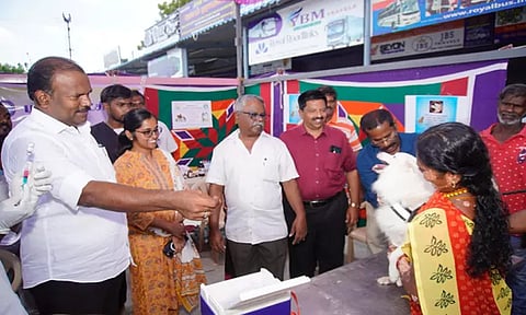 தூத்துக்குடியில் நாய்களுக்கு தடுப்பூசி போடும் பணி: மேயர் ஜெகன் பெரியசாமி துவக்கி வைத்தார்