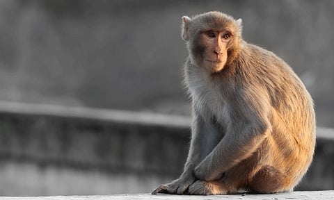 கோப்புப்படம் 