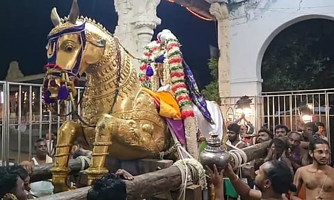 தங்க குதிரை வாகனத்தில் வீதியுலா வந்த வரதராஜ பெருமாள்
