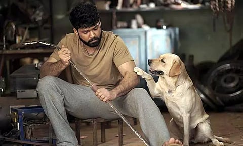 கர்நாடக அரசின் திரைப்பட விழாவில் 4 விருதுகளை வென்ற "777 சார்லி" படம்