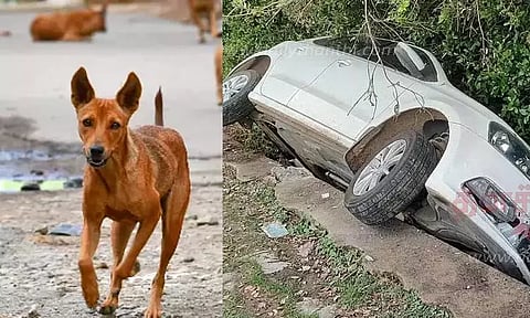 கோப்புப்படம்