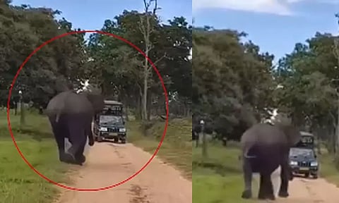 சுற்றுலா பயணிகள் சவாரி சென்ற வாகனத்தை துரத்திய காட்டு யானை