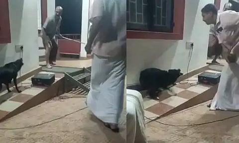 தெருநாய் கடி தொடர்பாக விழிப்புணர்வு நிகழ்ச்சி நடத்தியவரை கடித்த தெருநாய்