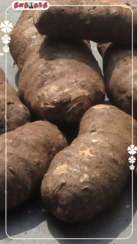 என்னது மற்ற கிழங்குகளைவிட கருணைக்கிழங்கு ஆரோக்கியத்திற்கு சிறந்ததா?