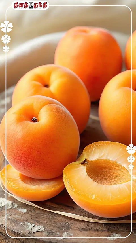 all photo using metaAI