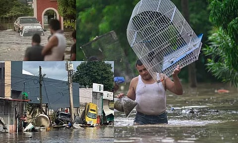 மெக்சிகோவில் கனமழை, வெள்ளம்: 28 பேர் பலி