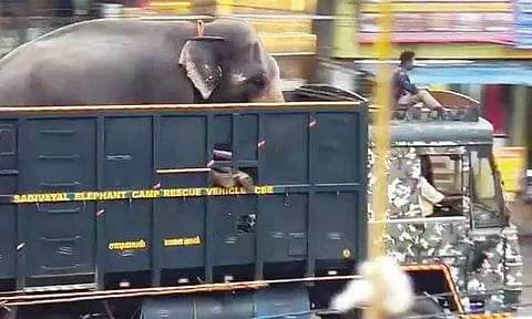 கோப்புப்படம்