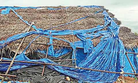 ஆதிச்சநல்லூர் அகழாய்வு குழிகளுக்குள் மழைநீர் புகுந்ததால் பழங்கால தொல்லியல் பொருட்கள் சேதம்