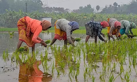கோப்புப்படம்