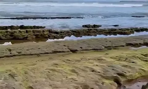 திருச்செந்தூரில் 500 மீட்டர் வரை உள்வாங்கிய கடல்