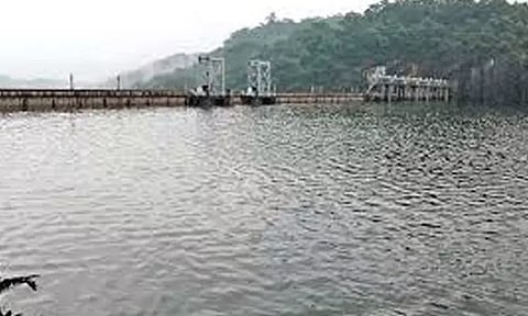 மேற்கு தொடர்ச்சி மலைப்பகுதியில் தொடர் மழை: நெல்லை, தென்காசி மாவட்ட அணைகளில் நீர்மட்டம் கிடுகிடு உயர்வு