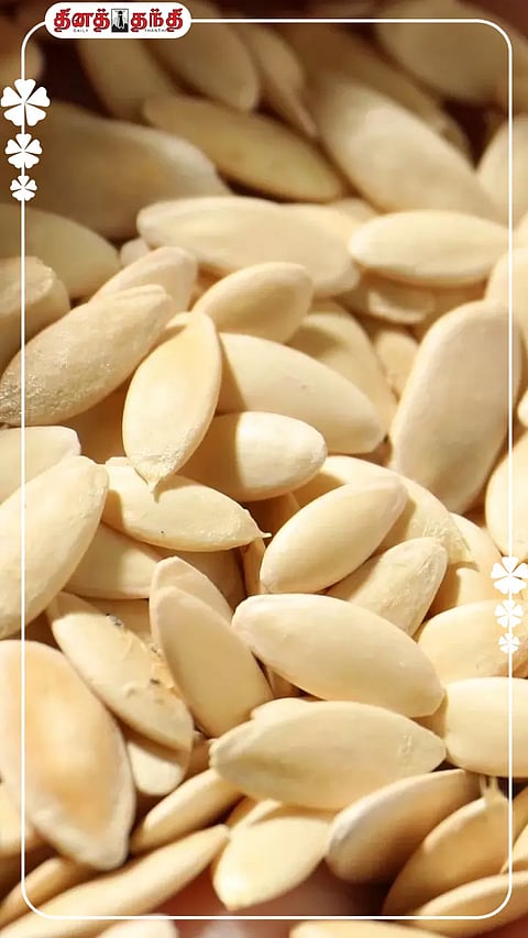 வெறுக்காதீங்க..பல விளைவுகளை தடுக்கும் வெள்ளரி விதை.!!