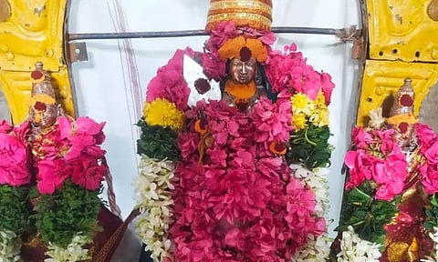 சிறப்பு அலங்காரத்தில் காட்சியளித்த பாலசுப்பிரமணிய சுவாமி