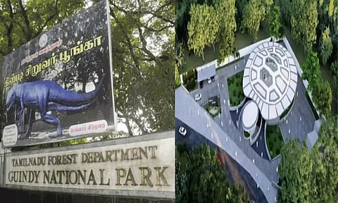 சென்னையில் கடல் ஆமைகள் மறுவாழ்வு மையம்: டெண்டர் கோரியது தமிழக அரசு