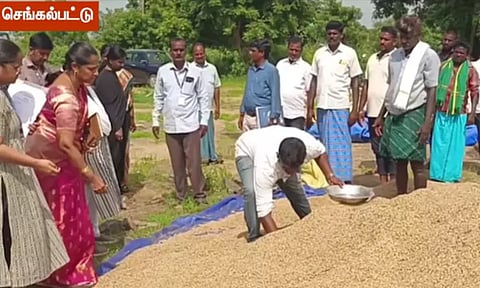 செங்கல்பட்டு நெல் கொள்முதல் நிலையங்களில் மத்திய குழுவினர் ஆய்வு