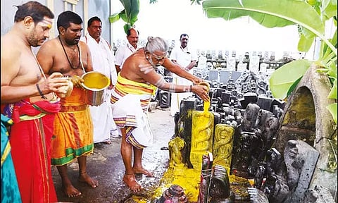 ஸ்ரீகாளஹஸ்தி பகுதியில் நாக சதுர்த்தி உற்சவம்