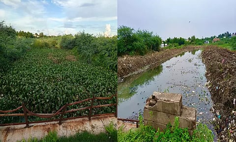 அரியலூர்: சித்தேரி வரத்து வாய்க்காலில் தேங்கிய அமலை செடிகள் அகற்றம்