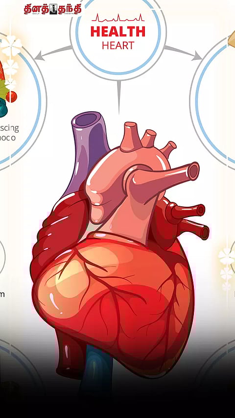 இதயம் ஆரோக்கியமாக துடிக்க வேண்டுமா? இதை ட்ரை பண்ணுங்க.!!