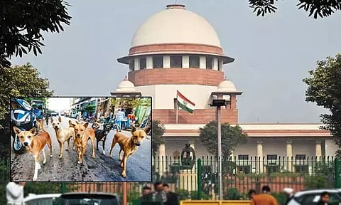 தெரு நாய்கள் வழக்கு: 7ம் தேதி தீர்ப்பளிக்கும் சுப்ரீம் கோர்ட்டு