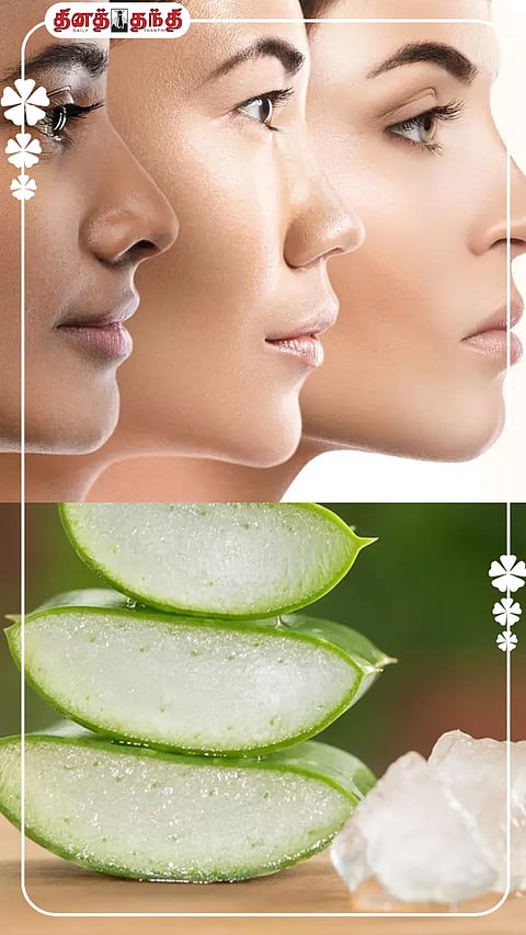 கற்றாழை சருமத்திற்கு நல்லதுதான்.. ஆனா இவ்வளவு நல்லதுன்னு தெரியாது