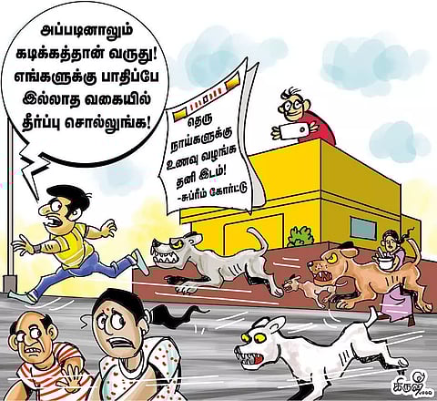 தெருநாய் தொல்லைக்கு இது தீர்வு அல்ல!