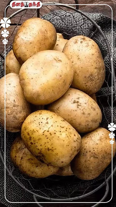 all photo using freepik