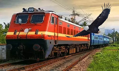 ரெயில் இன்ஜின் மீது கழுகு மோதி டிரைவர் படுகாயம்